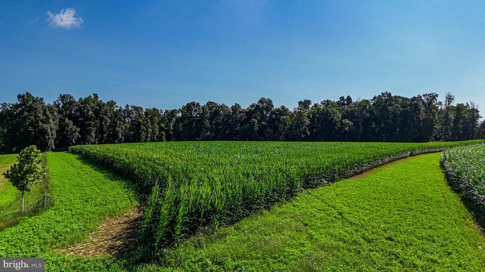 225 Pusey Mill Road Cochranville, PA 19330 - Photo 20 of 21