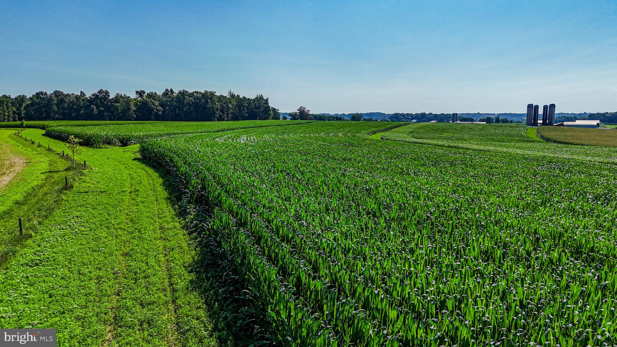 225 Pusey Mill Road Cochranville, PA 19330 - Photo 2 of 21 a view of a golf course with a lake view