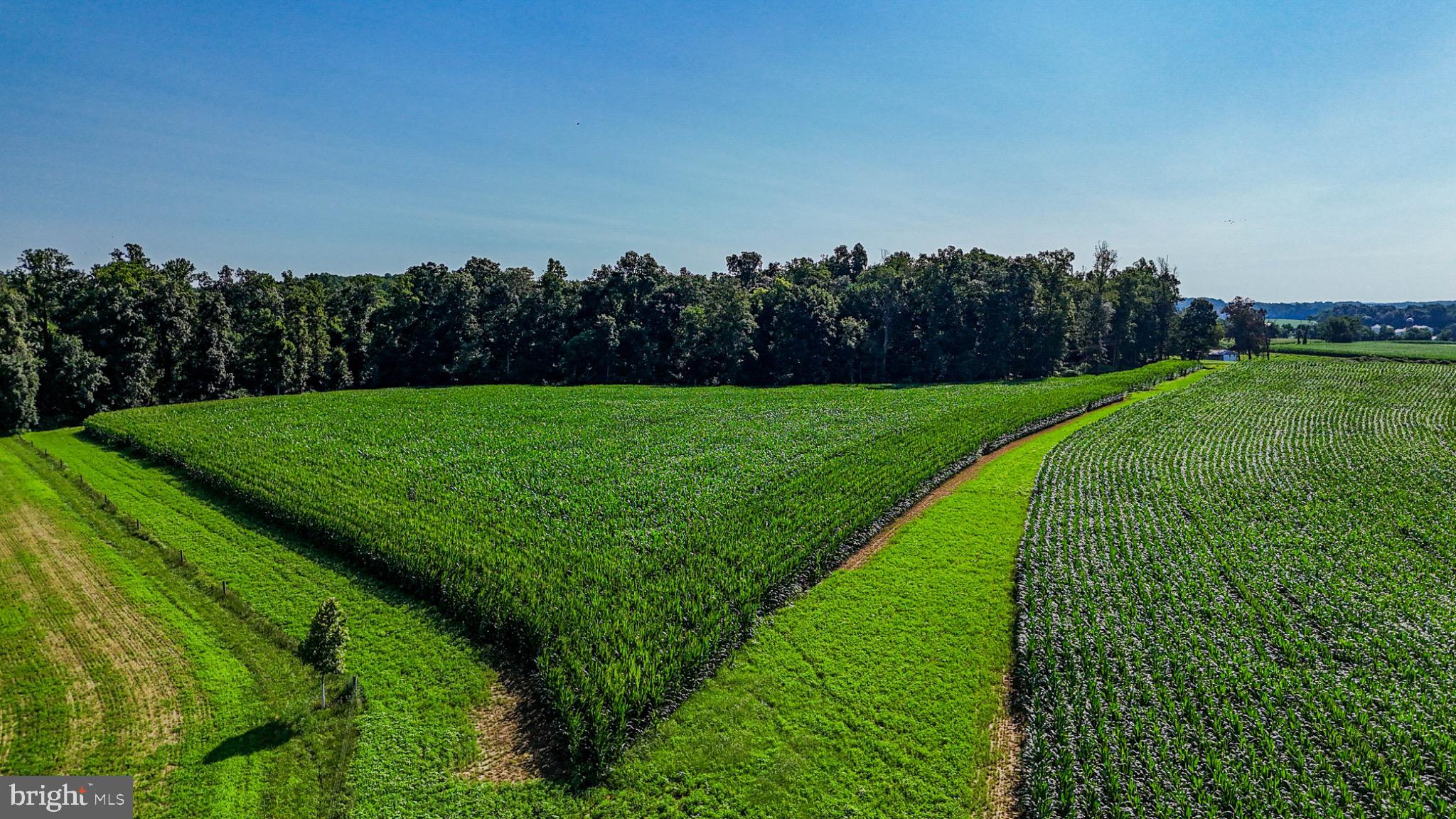 225 Pusey Mill Road Cochranville, PA 19330 - Photo 21 of 21 a view of a grassy field with trees