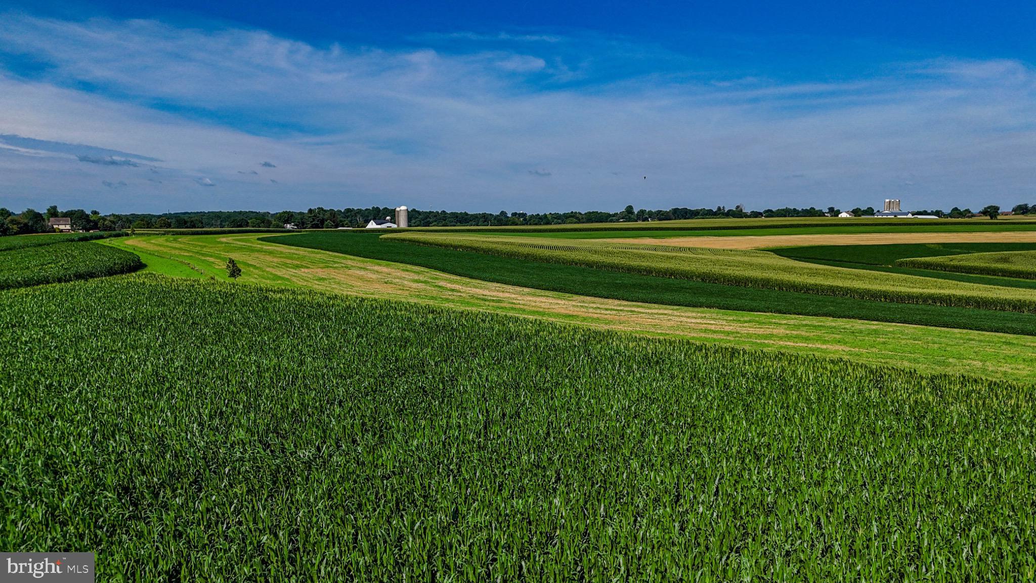 225 Pusey Mill Road Cochranville, PA 19330 - Photo 3 of 21 a view of a field of grass and trees