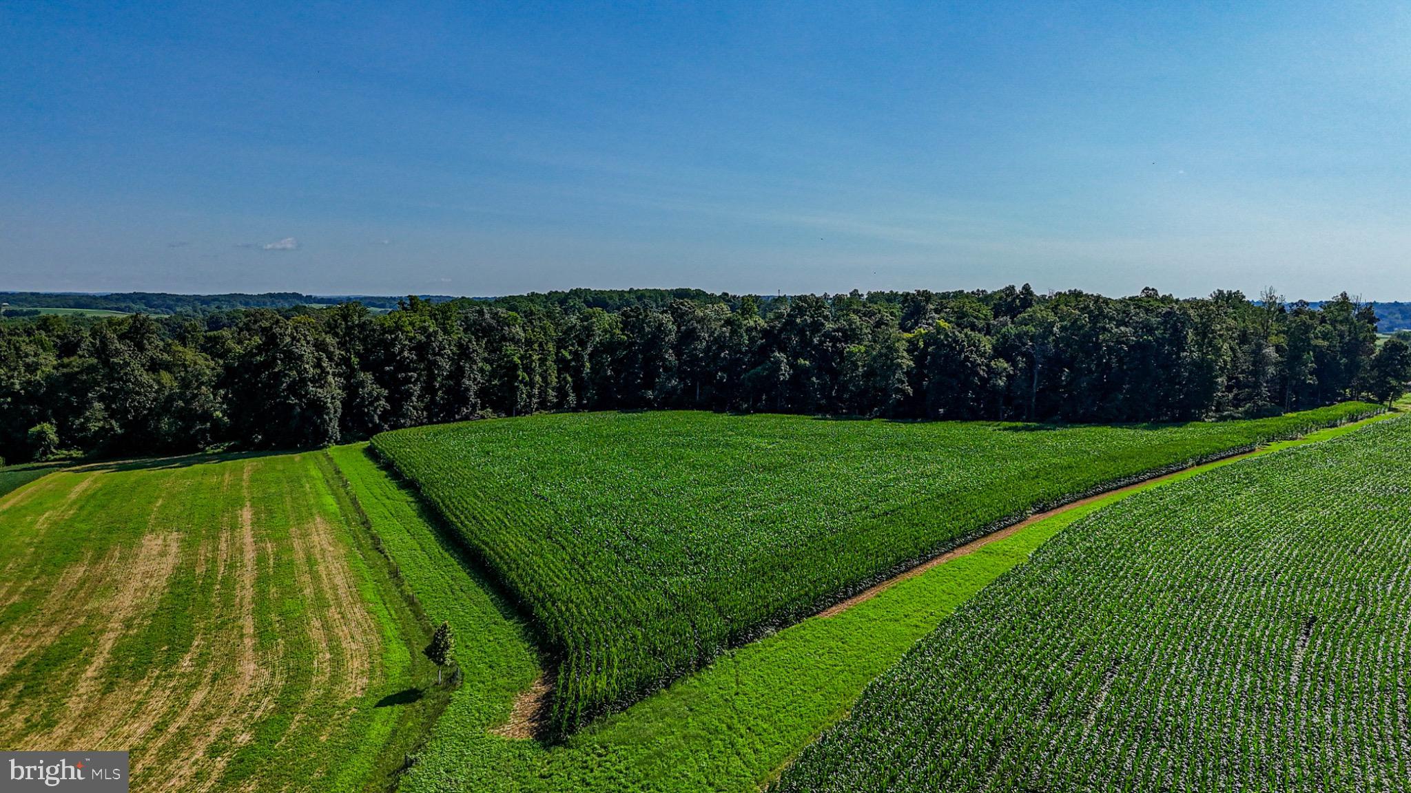 225 Pusey Mill Road Cochranville, PA 19330 - Photo 4 of 21 a view of a back yard