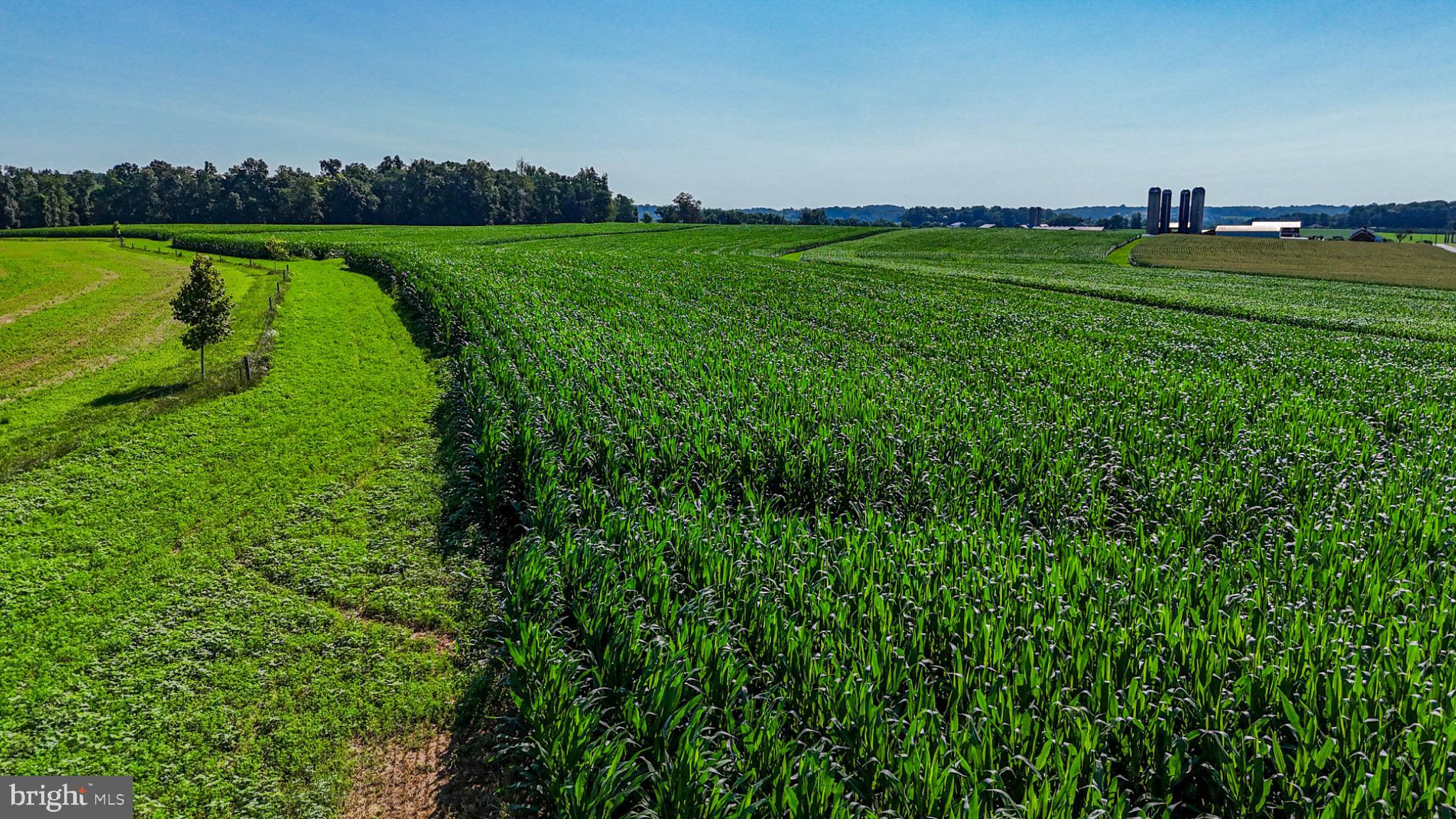 225 Pusey Mill Road Cochranville, PA 19330 - Photo 5 of 21 a view of a golf course with a lake