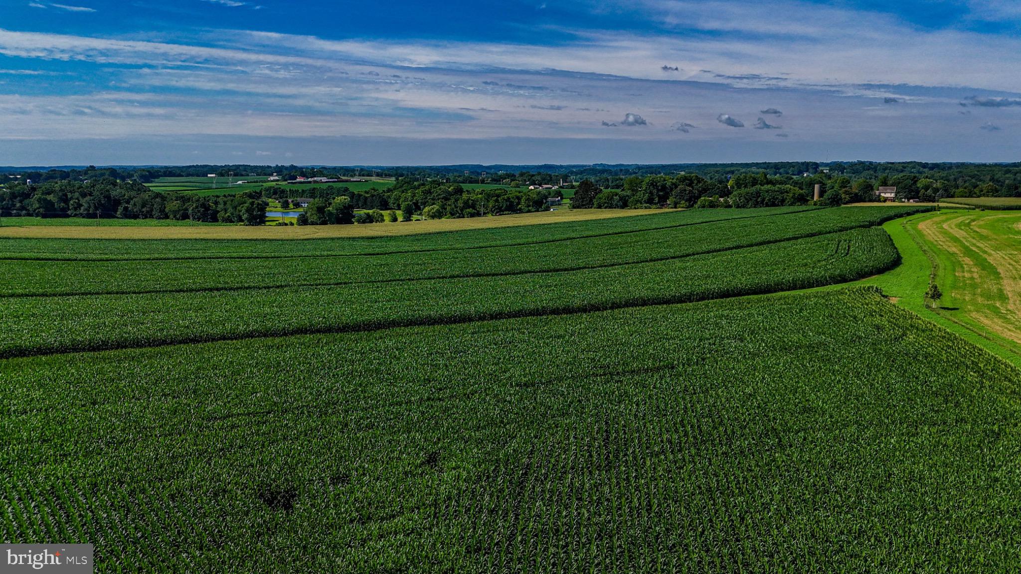225 Pusey Mill Road Cochranville, PA 19330 - Photo 6 of 21 a view of a park and a big yard