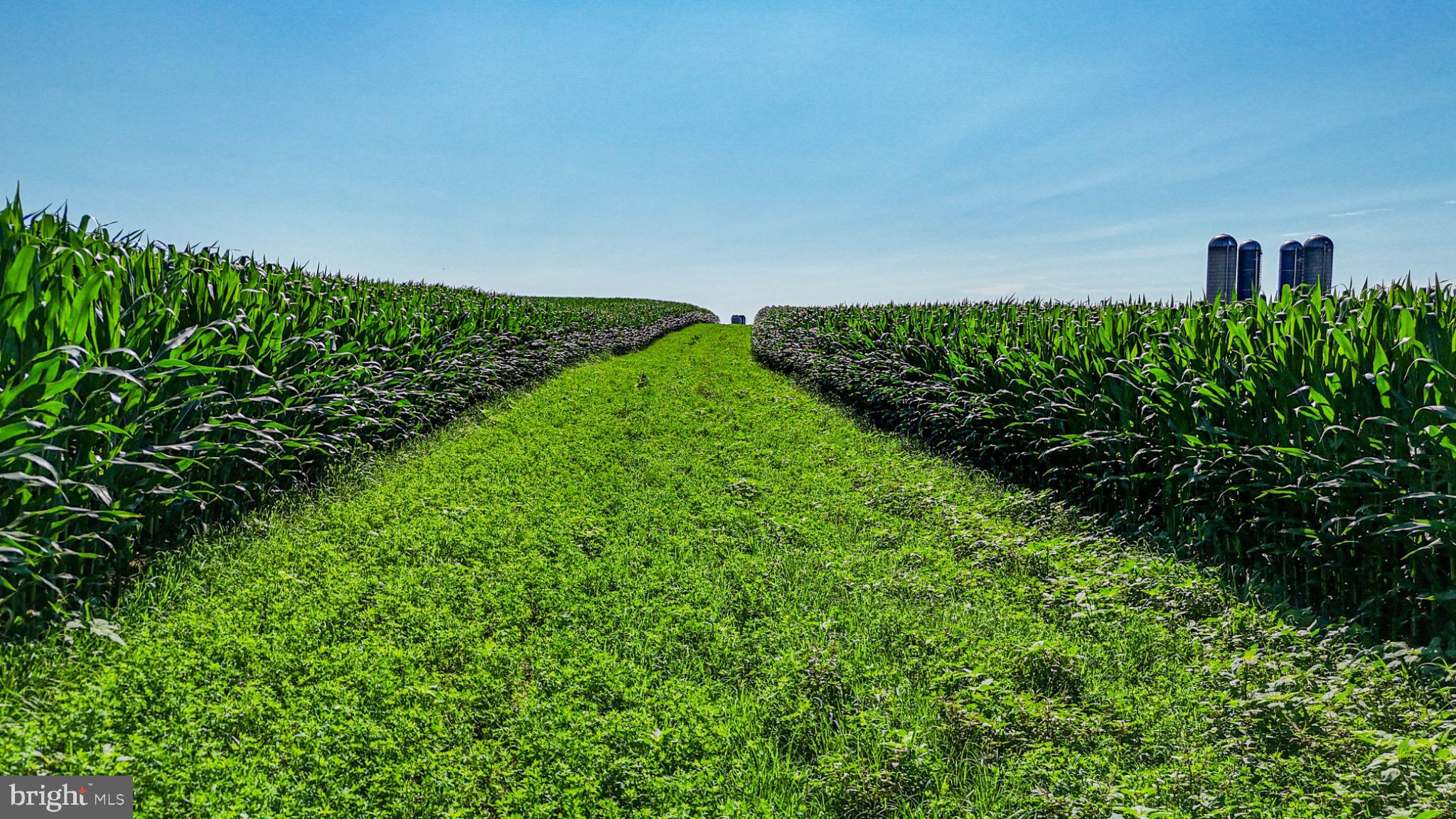 225 Pusey Mill Road Cochranville, PA 19330 - Photo 7 of 21 a view of a garden