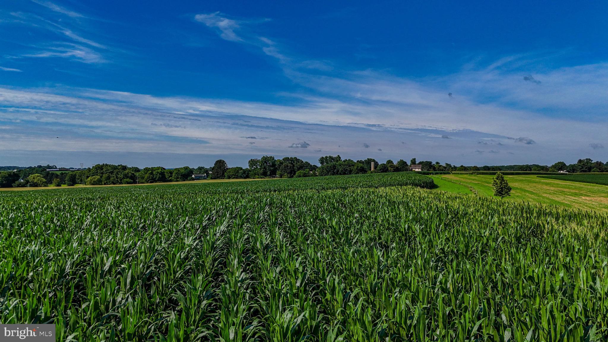 225 Pusey Mill Road Cochranville, PA 19330 - Photo 8 of 21 a view of a big yard with plants and large trees