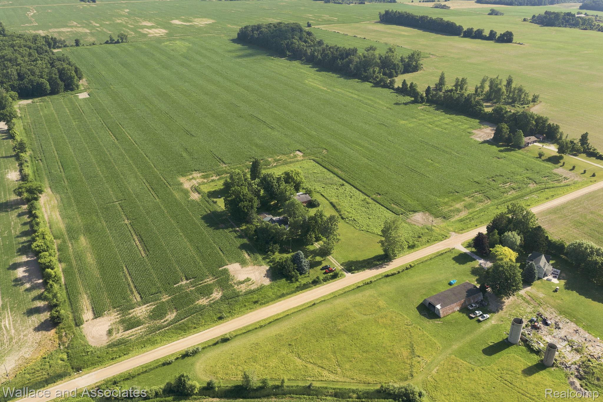 5949 Roach Road Croswell, MI 48422 - Photo 6 of 48 Expansive agricultural property featuring cultivated fields and scattered mature trees