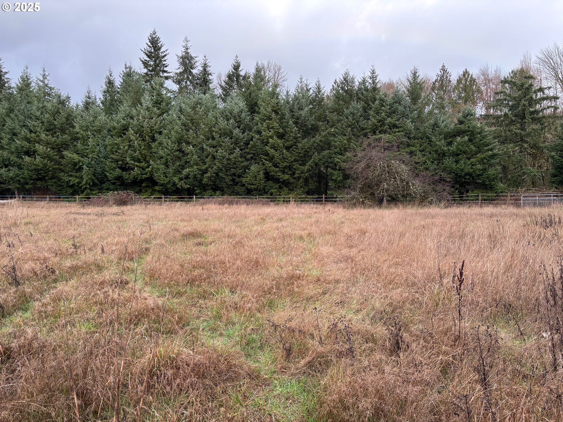 0 Byham Road Winlock, WA 98596 - Photo 3 of 10