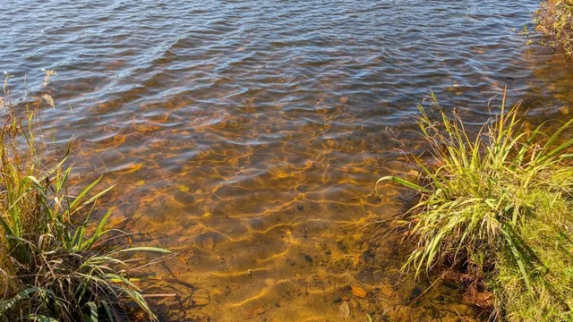 $149,900 | 24608 East Long Lake Road, Bigfork, MN 56628