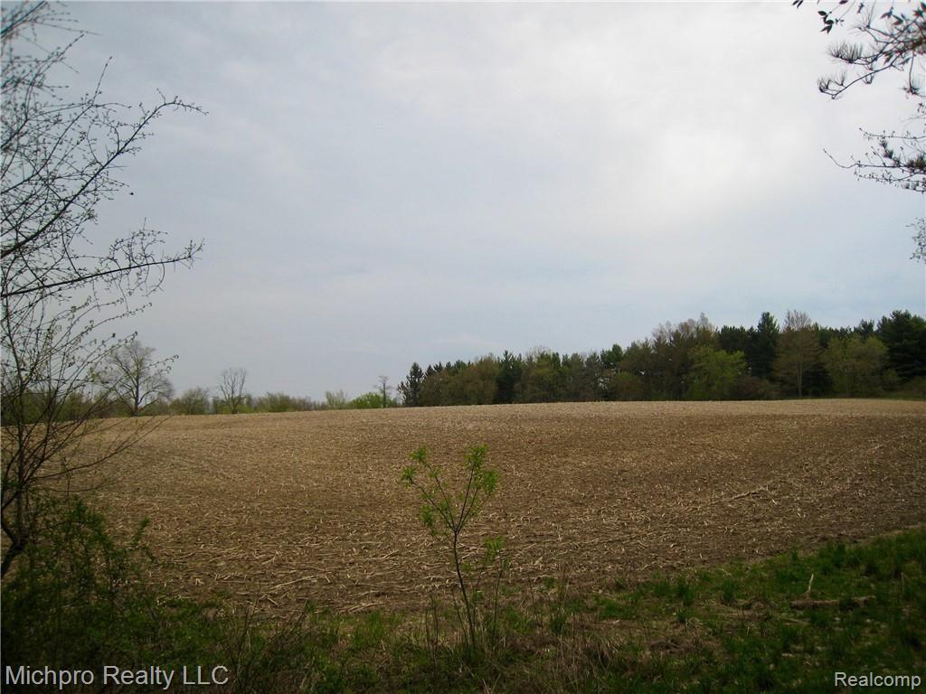 Parcel 2 South Lapeer Road Metamora, MI 48455 - Photo 5 of 17