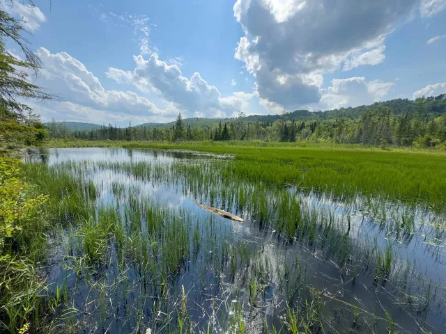 $149,900 | 0 Scotch Hollow Road, South Ryegate, VT 05069