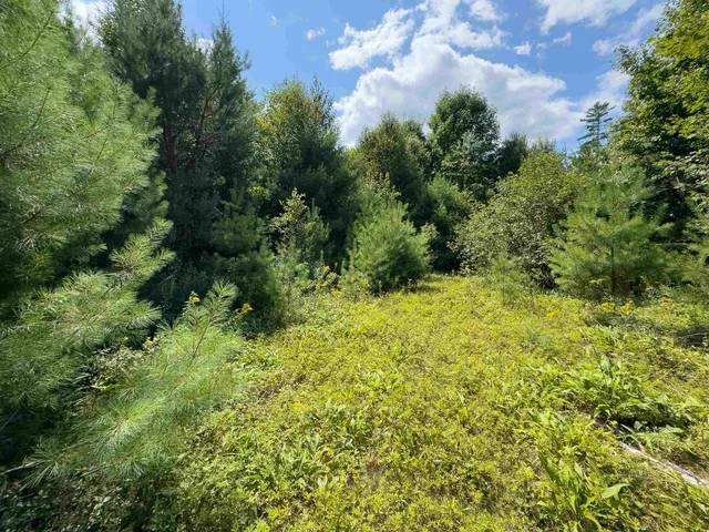 $149,900 | 0 Scotch Hollow Road, South Ryegate, VT 05069