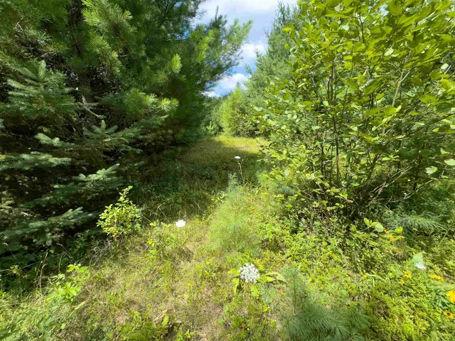 $149,900 | 0 Scotch Hollow Road, South Ryegate, VT 05069
