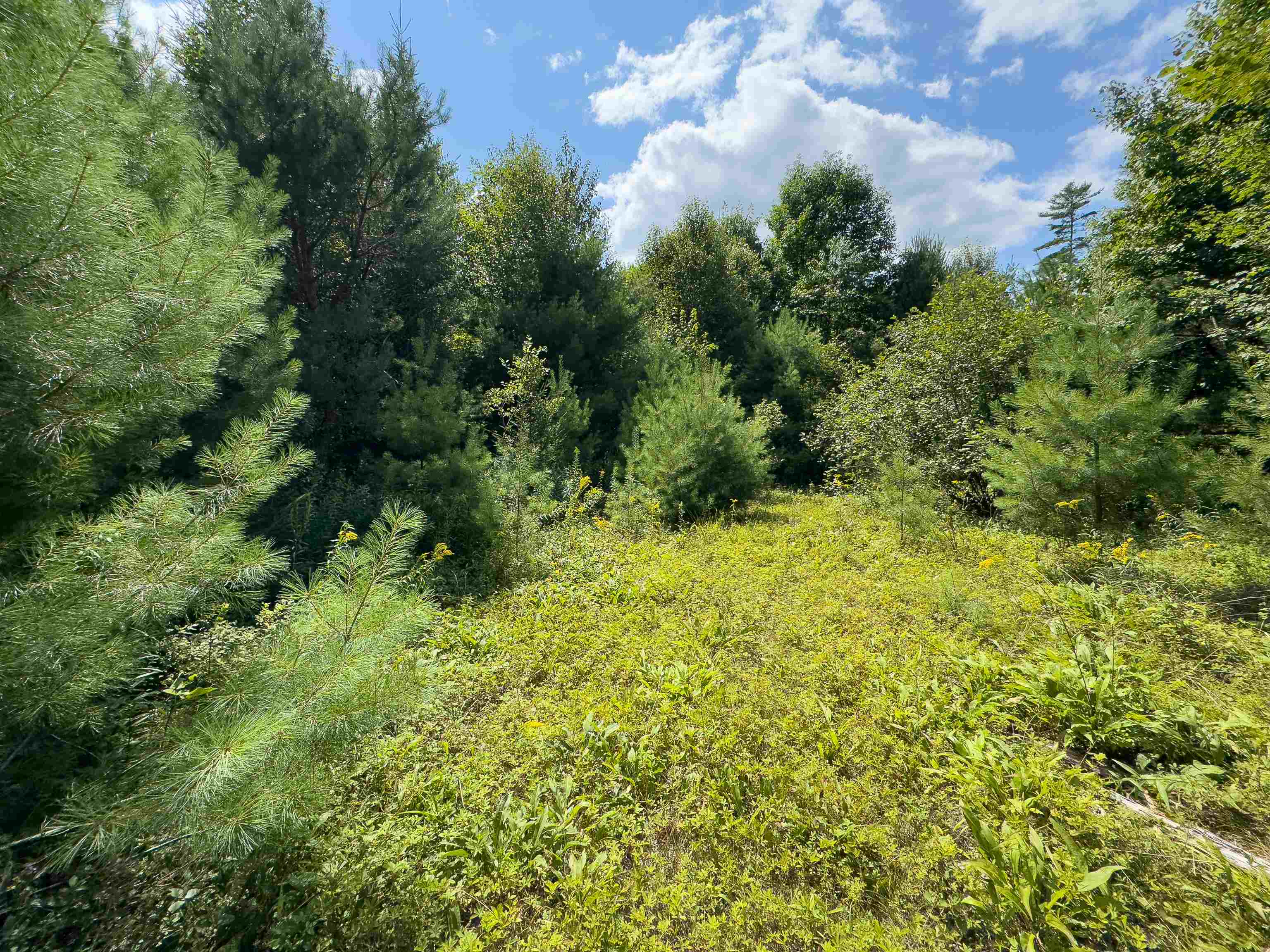 0 Scotch Hollow Road South Ryegate, VT 05069 - Photo 13 of 22