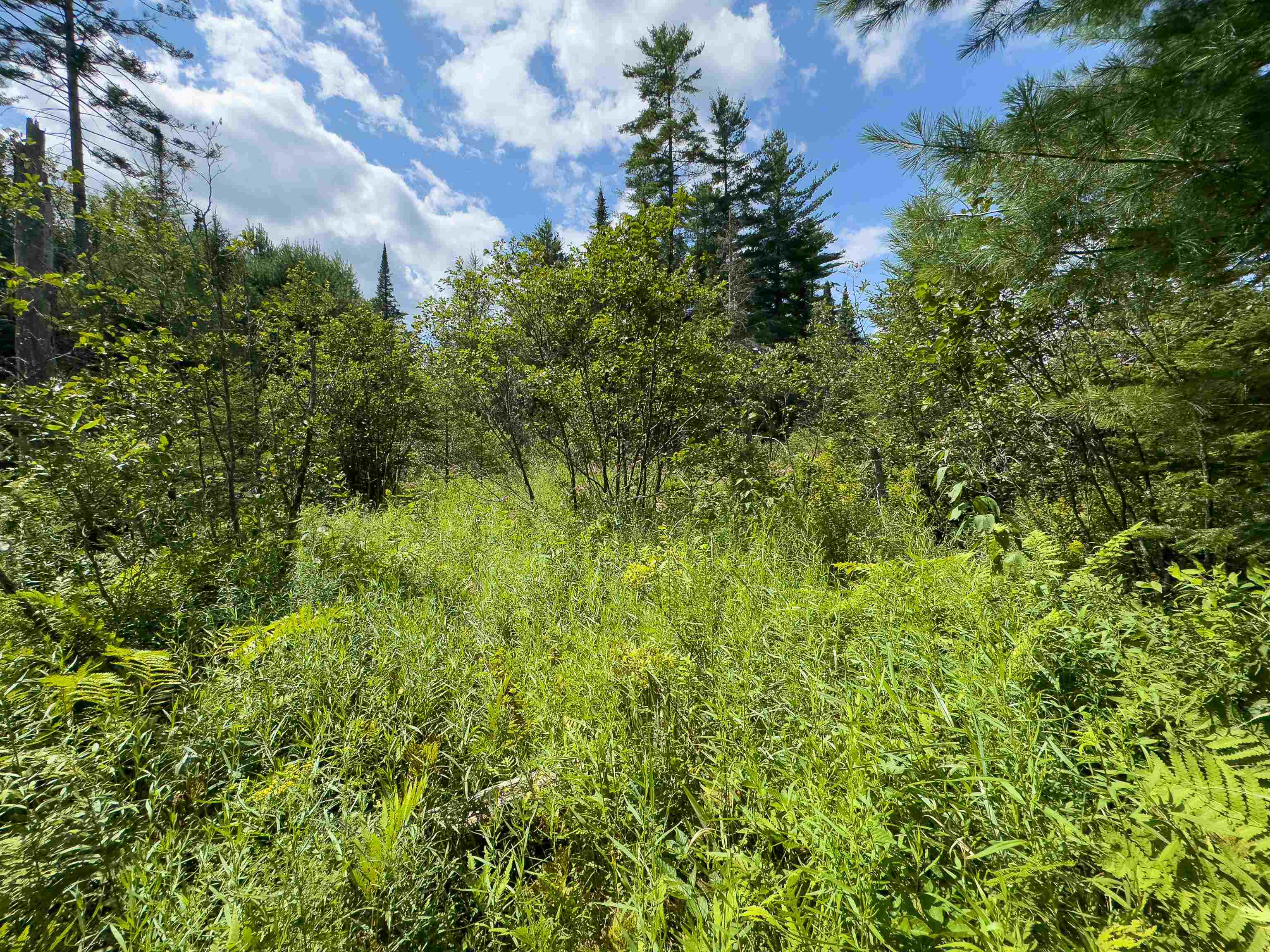 0 Scotch Hollow Road South Ryegate, VT 05069 - Photo 15 of 22