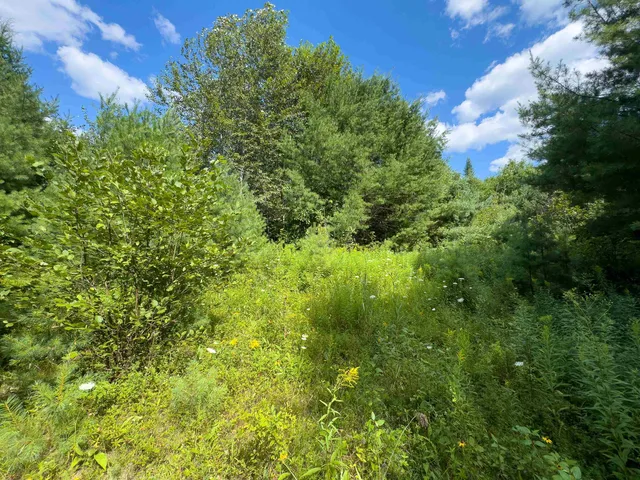 $149,900 | 0 Scotch Hollow Road, South Ryegate, VT 05069