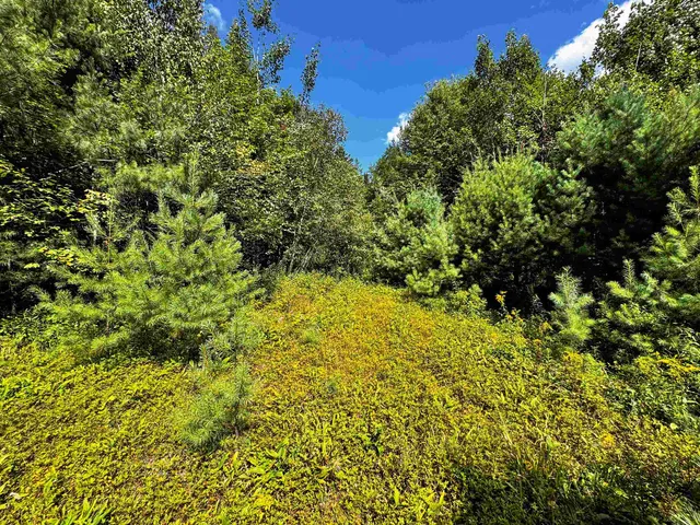 $149,900 | 0 Scotch Hollow Road, South Ryegate, VT 05069