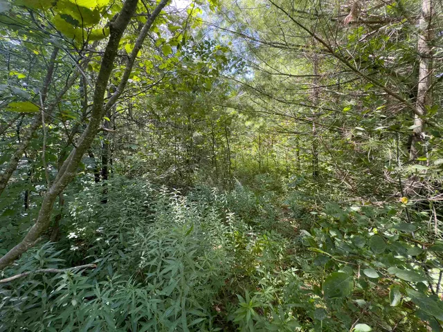 $149,900 | 0 Scotch Hollow Road, South Ryegate, VT 05069