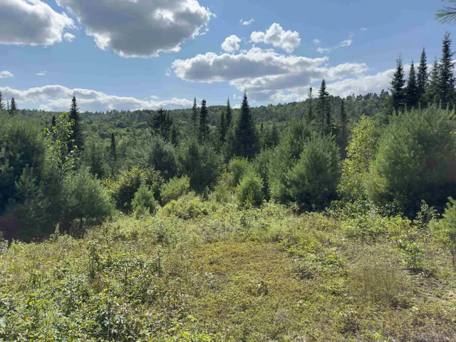 $149,900 | 0 Scotch Hollow Road, South Ryegate, VT 05069