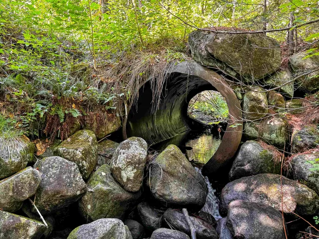 $149,900 | 0 Scotch Hollow Road, South Ryegate, VT 05069