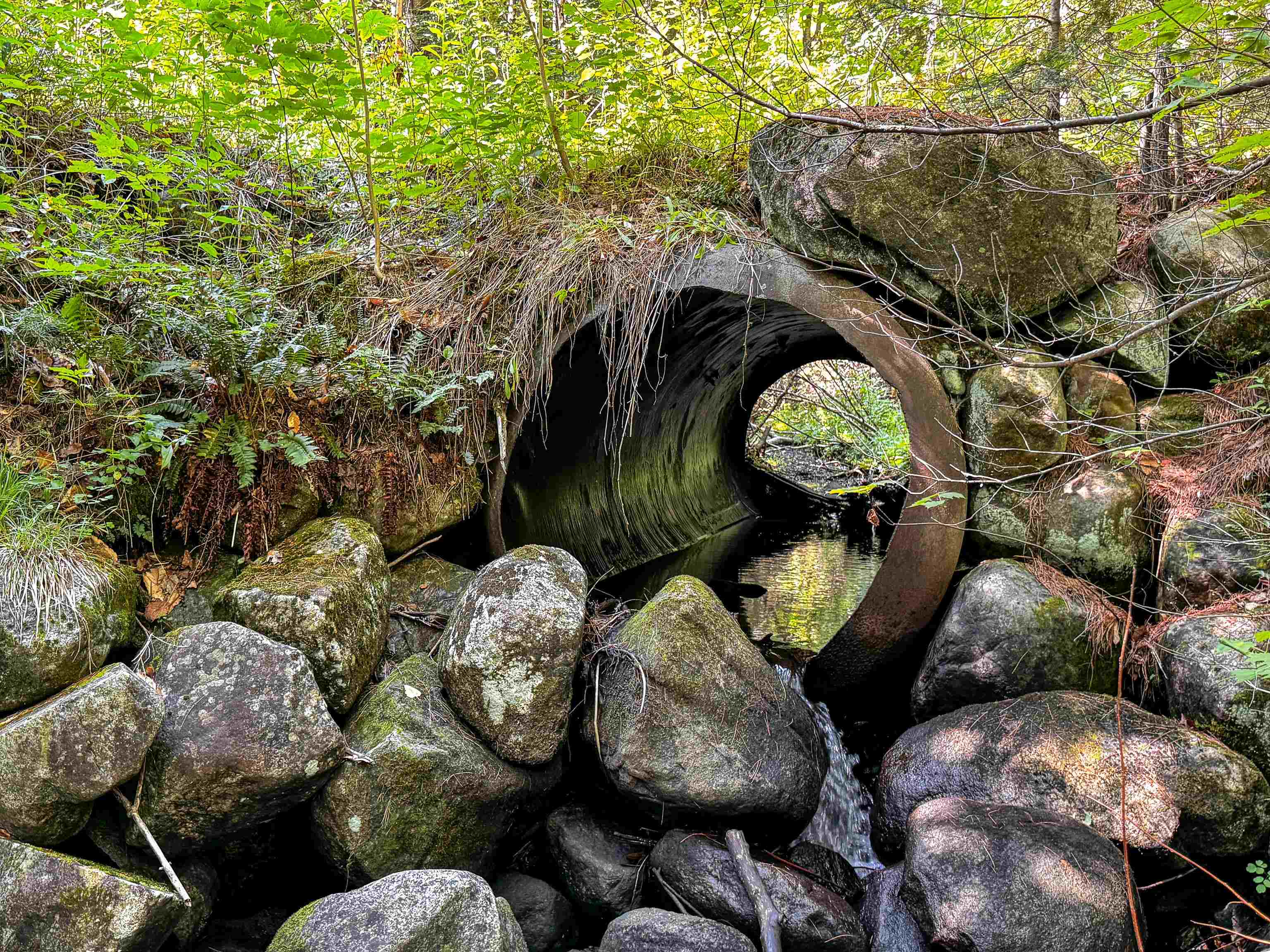 0 Scotch Hollow Road South Ryegate, VT 05069 - Photo 21 of 22