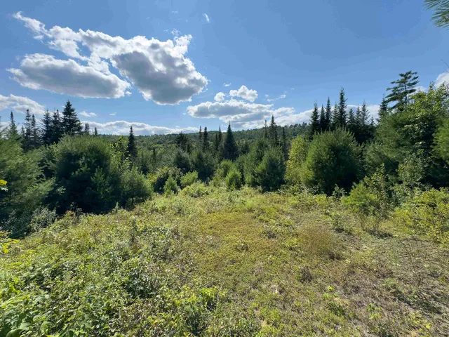 $149,900 | 0 Scotch Hollow Road, South Ryegate, VT 05069