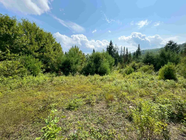 $149,900 | 0 Scotch Hollow Road, South Ryegate, VT 05069