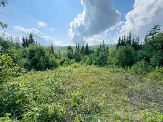 $149,900 | 0 Scotch Hollow Road, South Ryegate, VT 05069