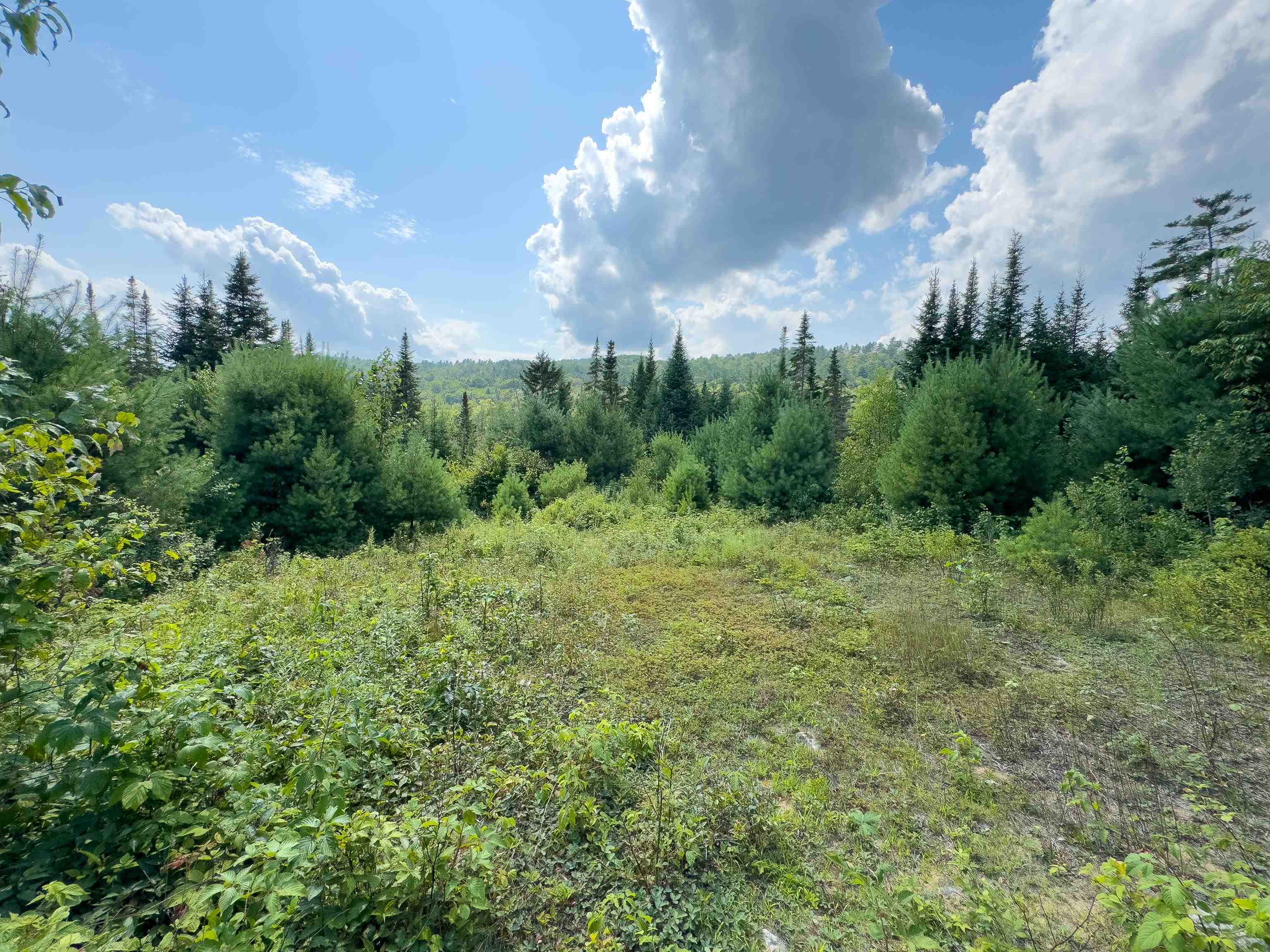 0 Scotch Hollow Road South Ryegate, VT 05069 - Photo 4 of 22