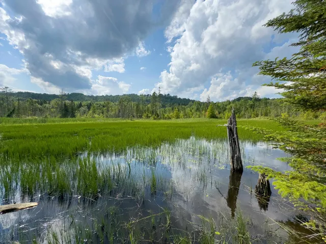 $149,900 | 0 Scotch Hollow Road, South Ryegate, VT 05069