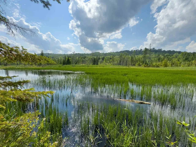 $149,900 | 0 Scotch Hollow Road, South Ryegate, VT 05069