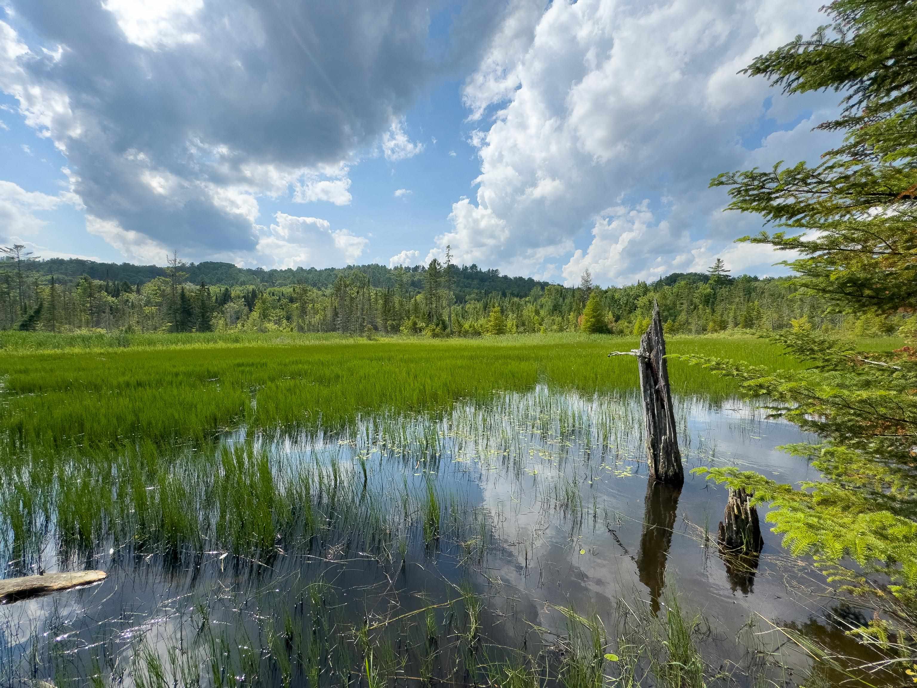 0 Scotch Hollow Road South Ryegate, VT 05069 - Photo 6 of 22