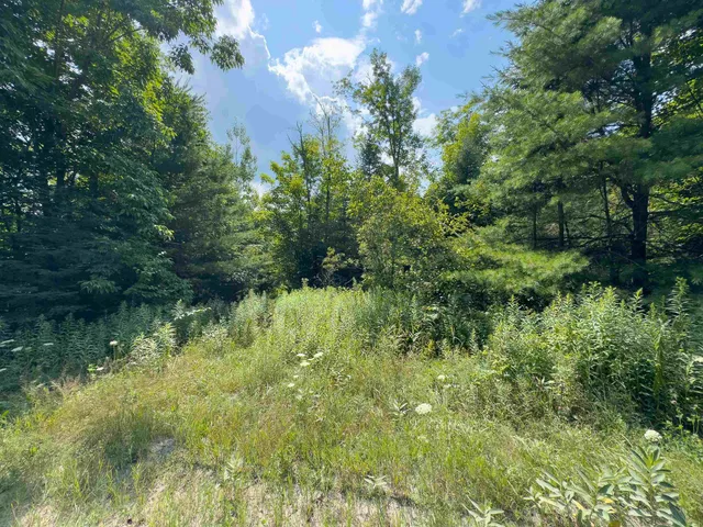 $149,900 | 0 Scotch Hollow Road, South Ryegate, VT 05069