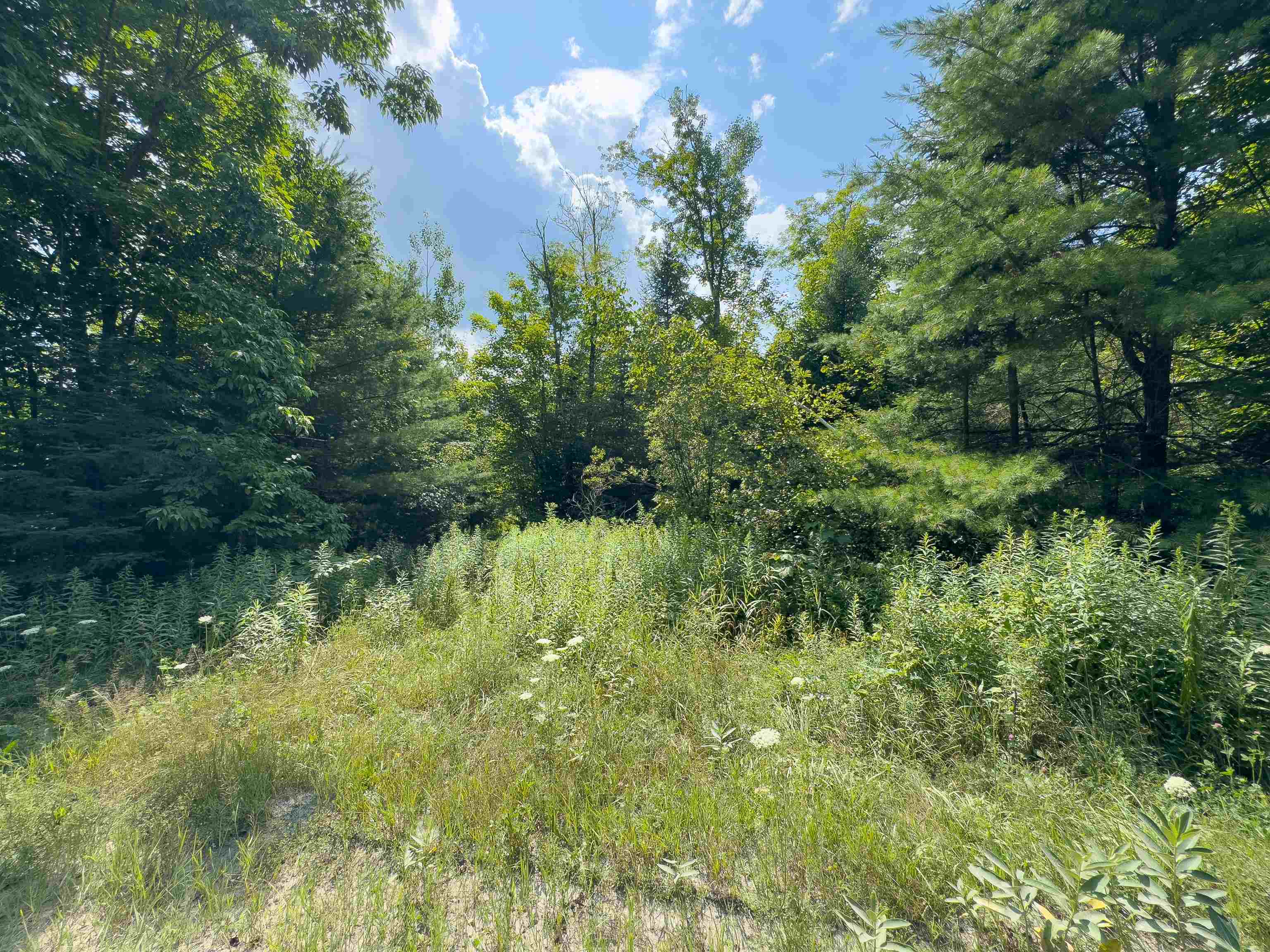 0 Scotch Hollow Road South Ryegate, VT 05069 - Photo 7 of 22