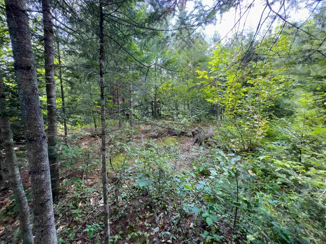 $149,900 | 0 Scotch Hollow Road, South Ryegate, VT 05069