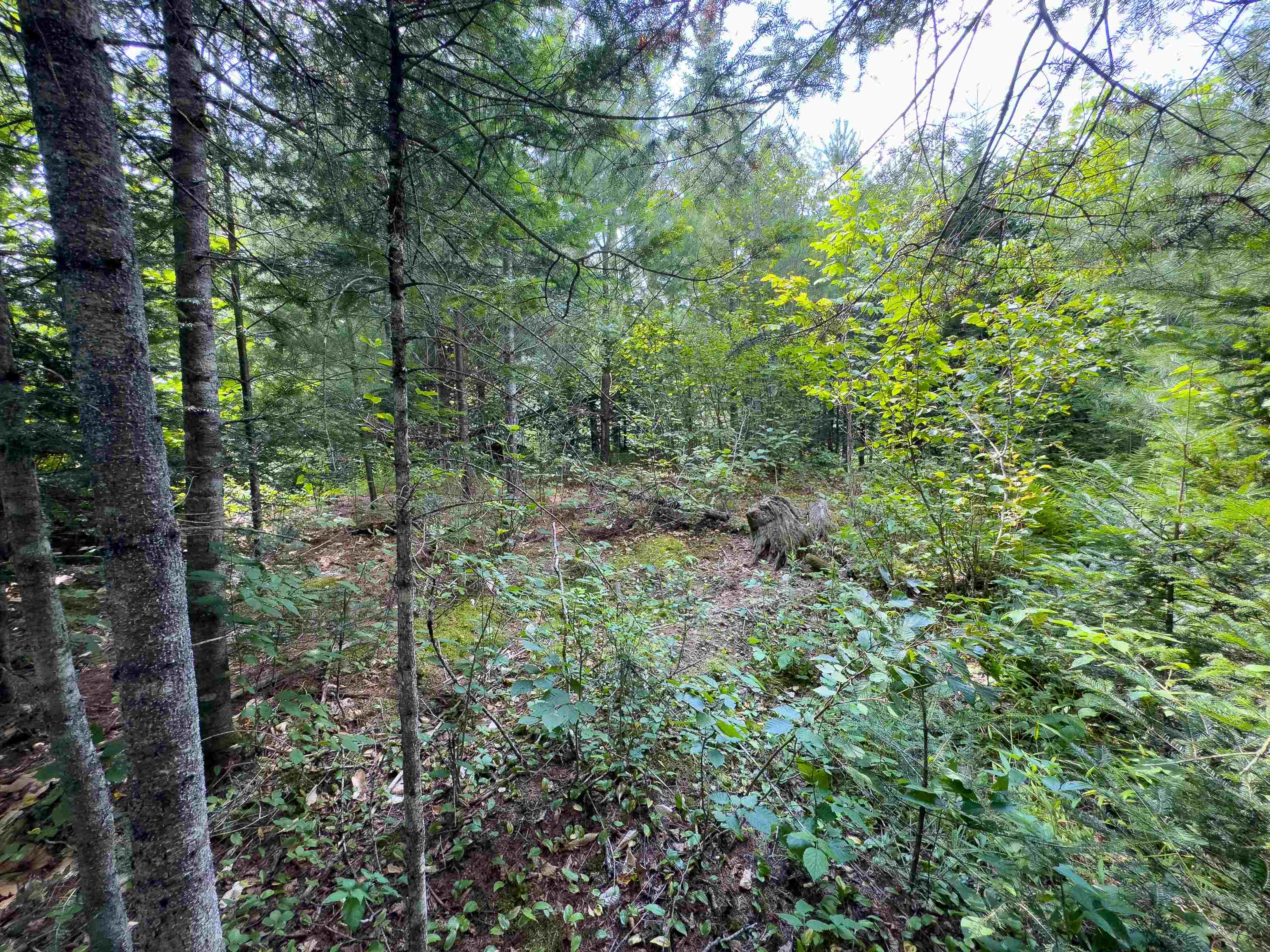 0 Scotch Hollow Road South Ryegate, VT 05069 - Photo 10 of 22