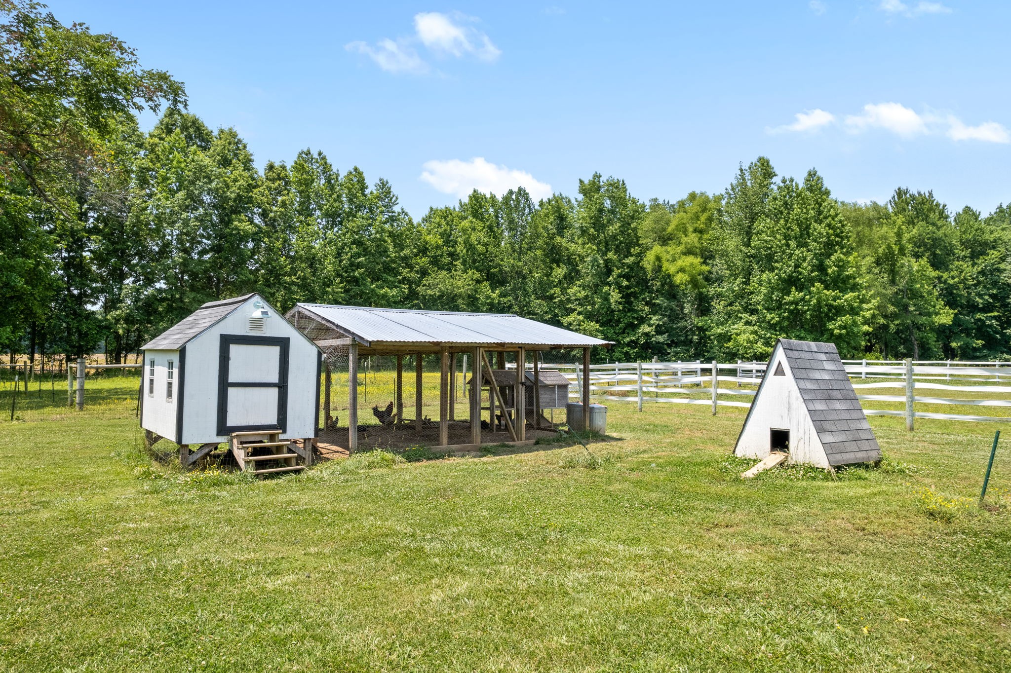 4555 Pineywoods Road Adams, TN 37010 - Photo 39 of 55 a front view of a house with a yard