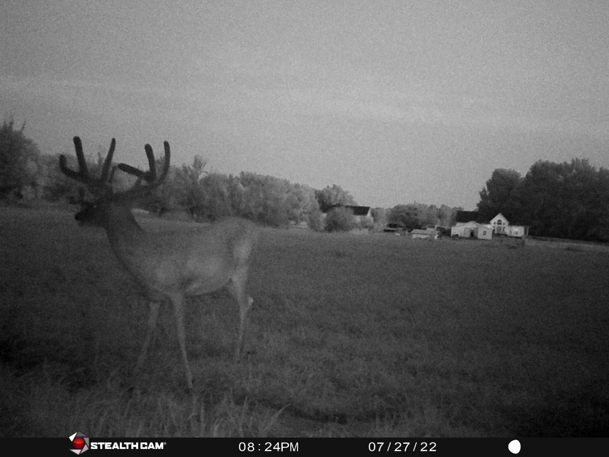 4555 Pineywoods Road Adams, TN 37010 - Photo 55 of 55