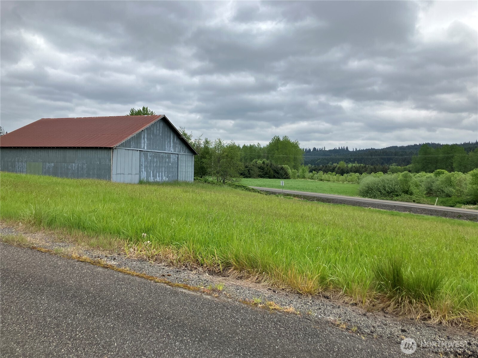 112 South Blacksmith Road Rochester, WA 98579 - Photo 1 of 5 a view of a big yard with plants and large trees
