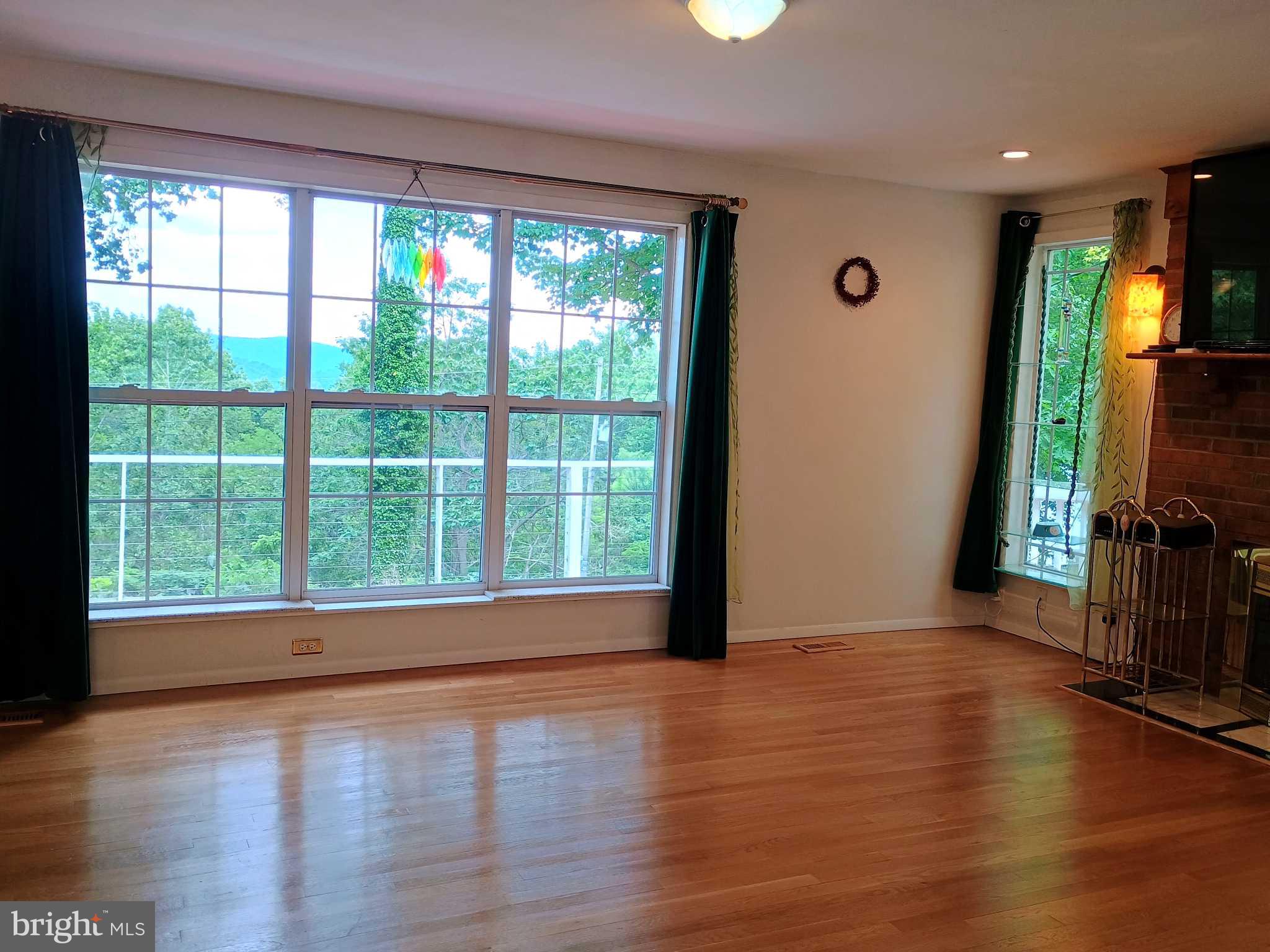 147 Blue Ridge Avenue Chester Gap, VA 22623 - Photo 13 of 46