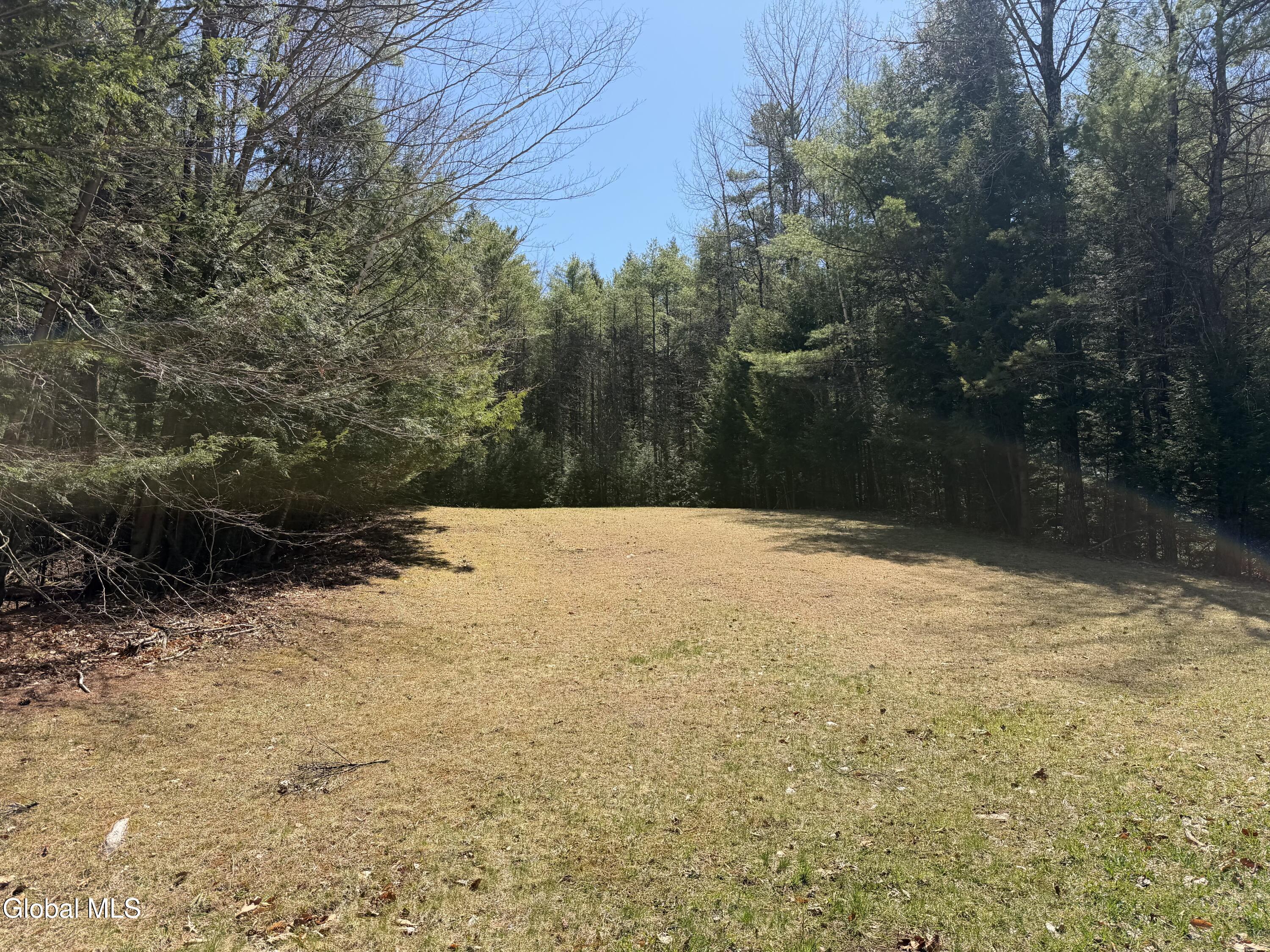 5509 Lincoln Pond Road, Unit LOT 1 Elizabethtown, NY 12932 - Photo 1 of 12 IMG_4002
