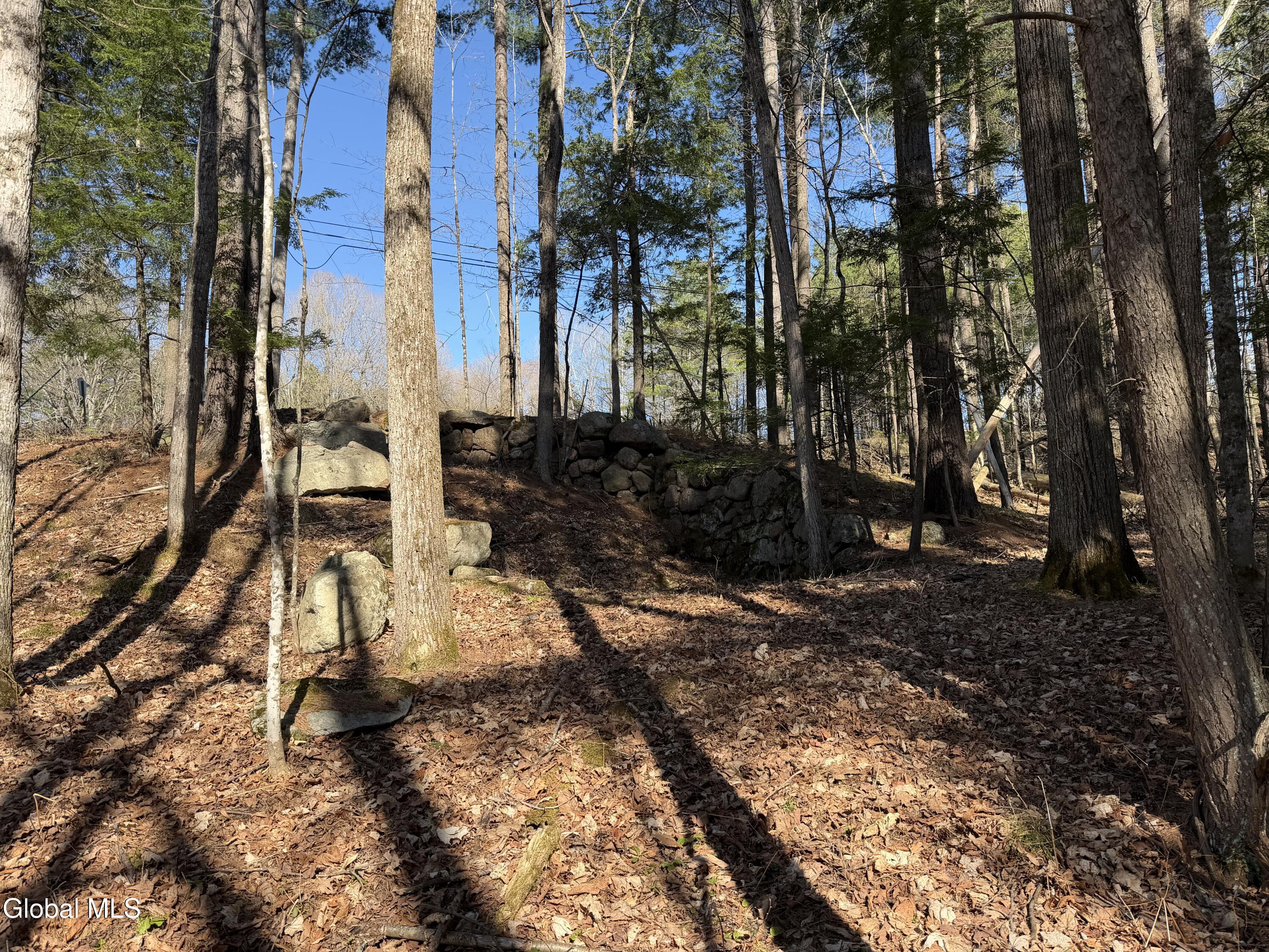 5509 Lincoln Pond Road, Unit LOT 1 Elizabethtown, NY 12932 - Photo 6 of 12 IMG_4015