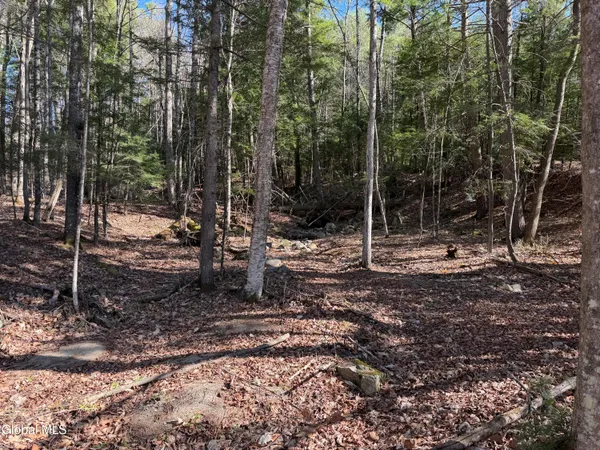 $84,000 | 5509 Lincoln Pond Road, Unit LOT 1, Elizabethtown, NY 12932