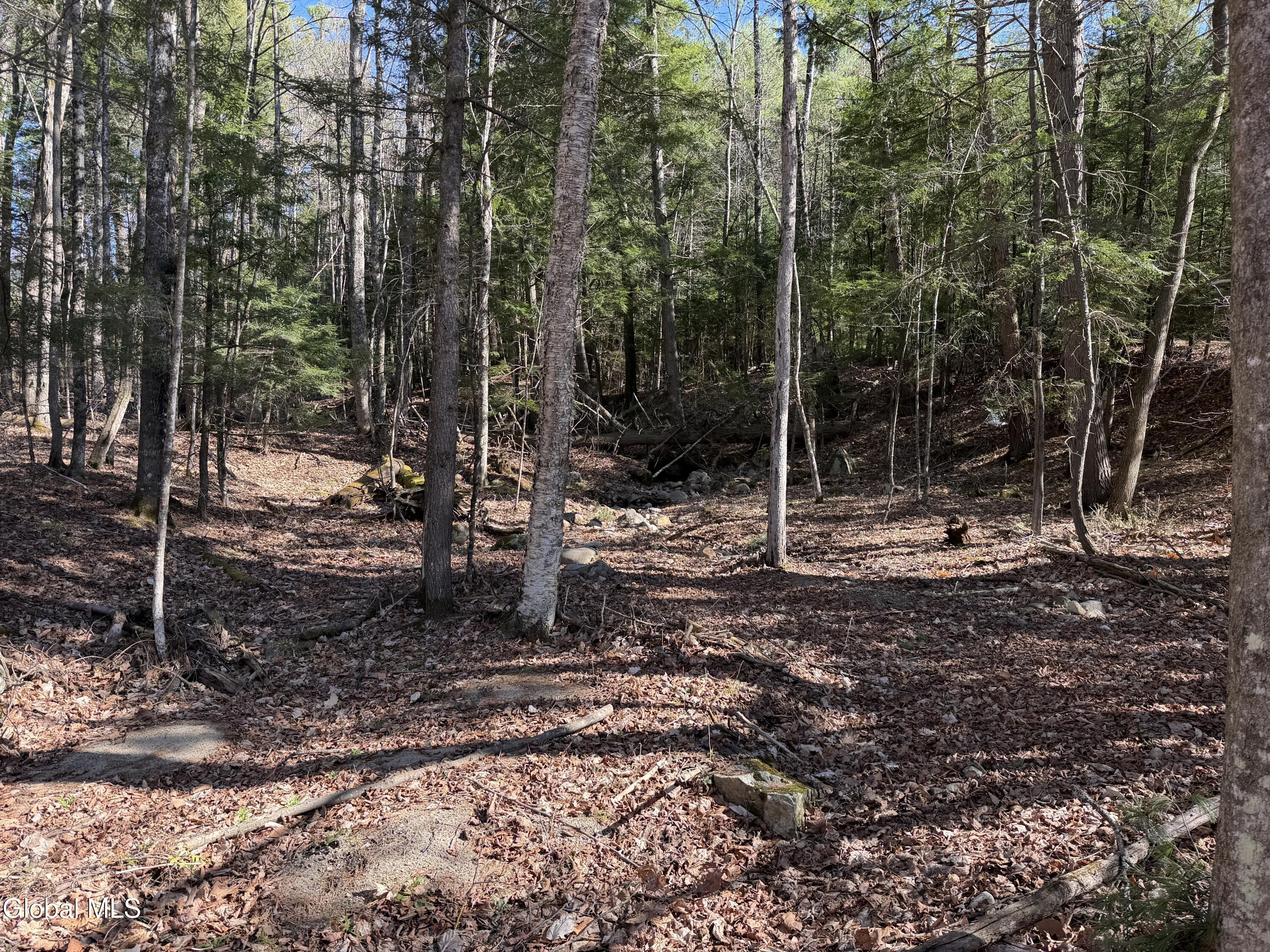 5509 Lincoln Pond Road, Unit LOT 1 Elizabethtown, NY 12932 - Photo 7 of 12 IMG_4014