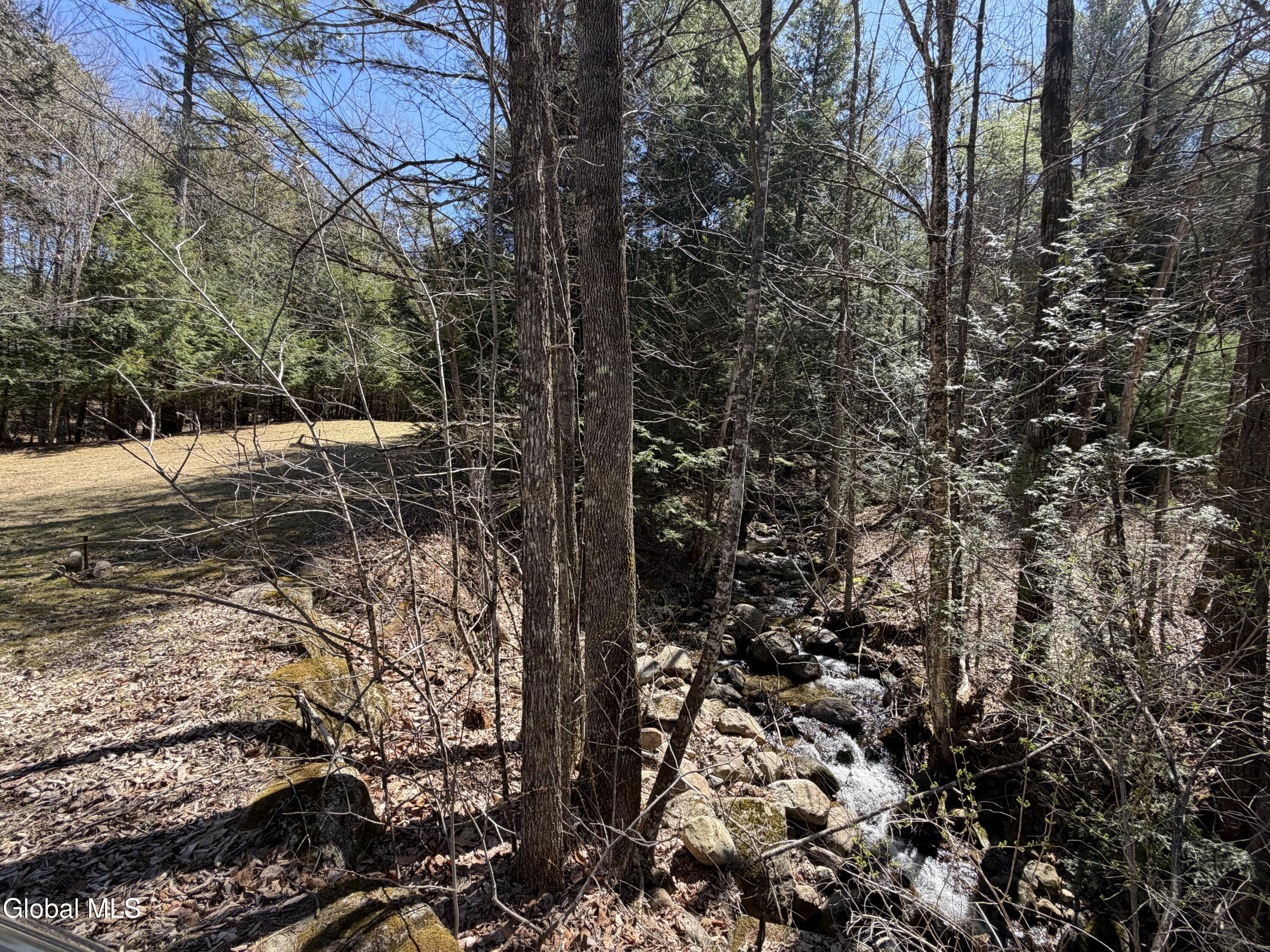 5509 Lincoln Pond Road, Unit LOT 1 Elizabethtown, NY 12932 - Photo 10 of 12 IMG_4004