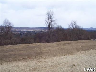 0 Saucon Ridge Road Center Valley, PA 18034 - Photo 1 of 1 Gallery Image 1