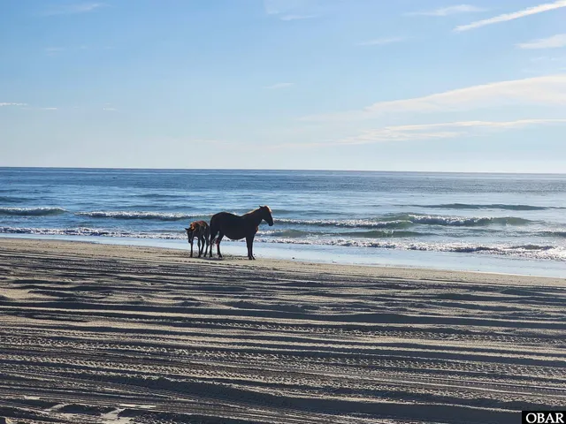 $1,335,000 | 2146 Sandfiddler Road, Corolla, NC 27927