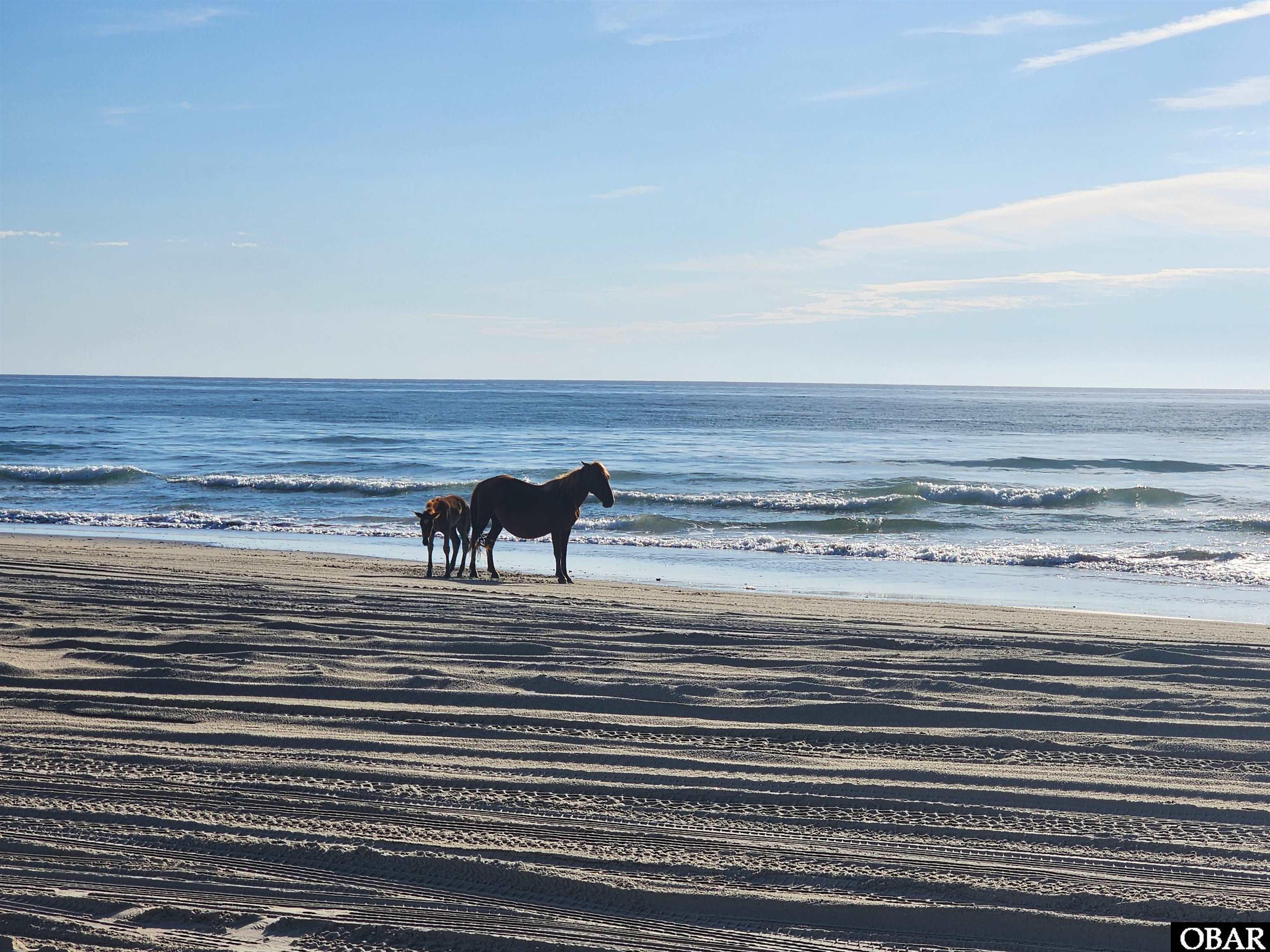 2146 Sandfiddler Road Corolla, NC 27927 - Photo 49 of 50