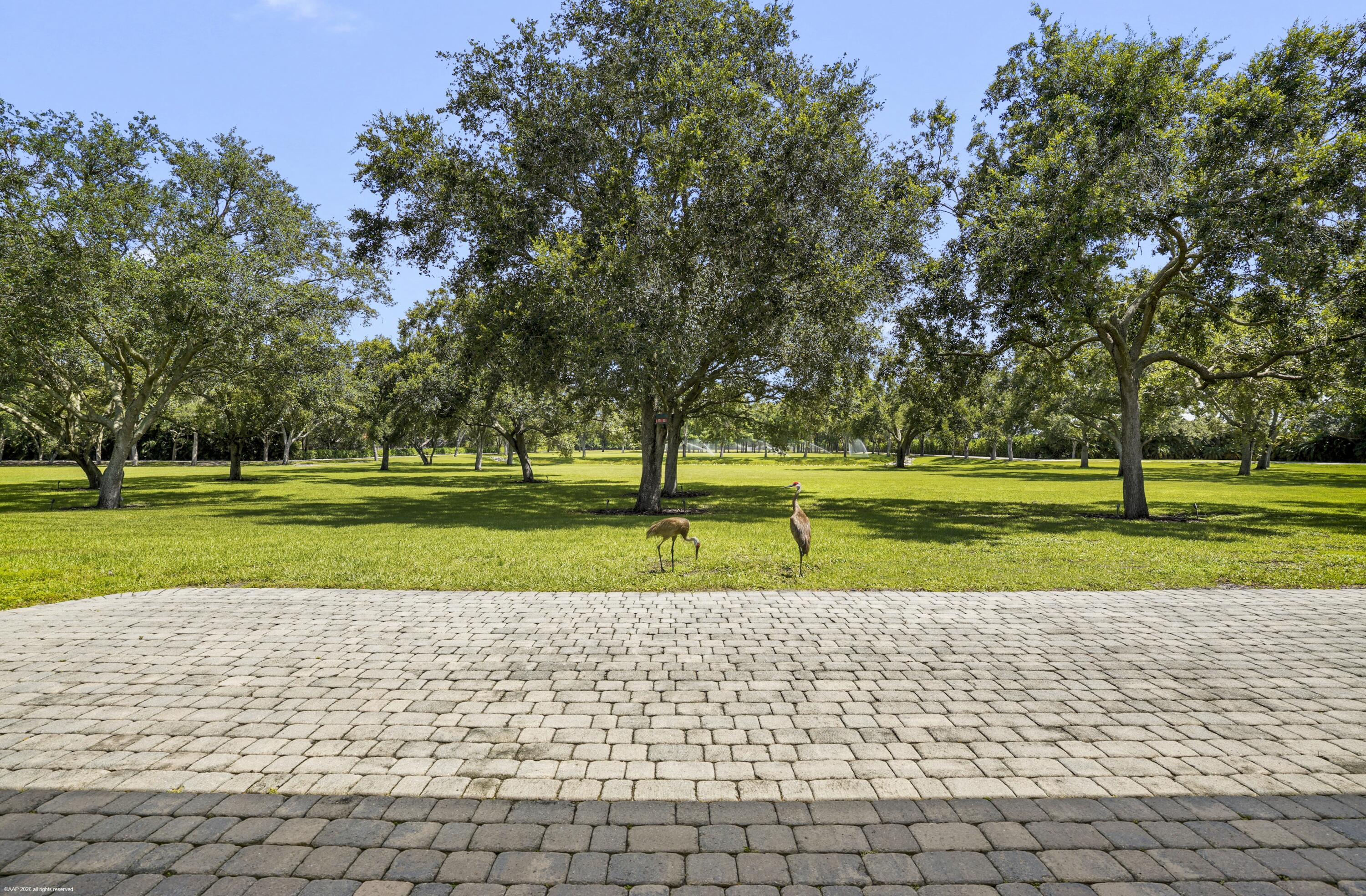 16451 Norris Road Wellington, FL 33470 - Photo 51 of 91 16451 Norris Rd 073
