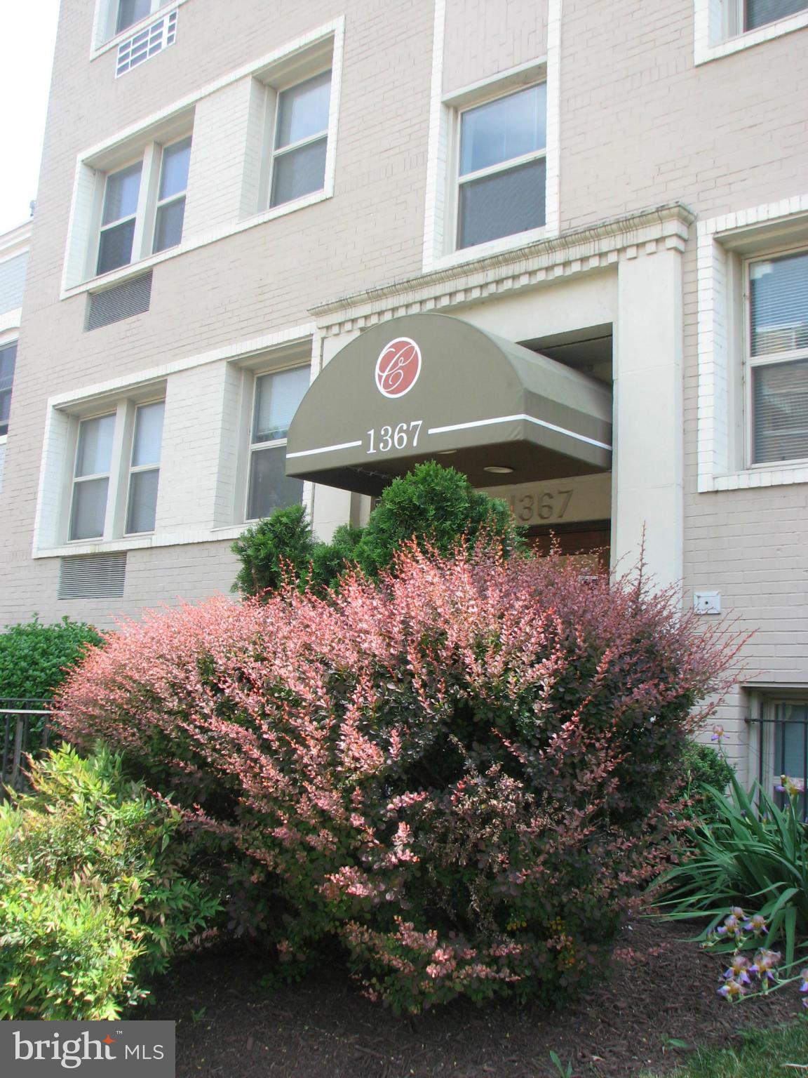 1367 K Street Southeast, Unit 101 Washington, DC 20003 - Photo 2 of 14