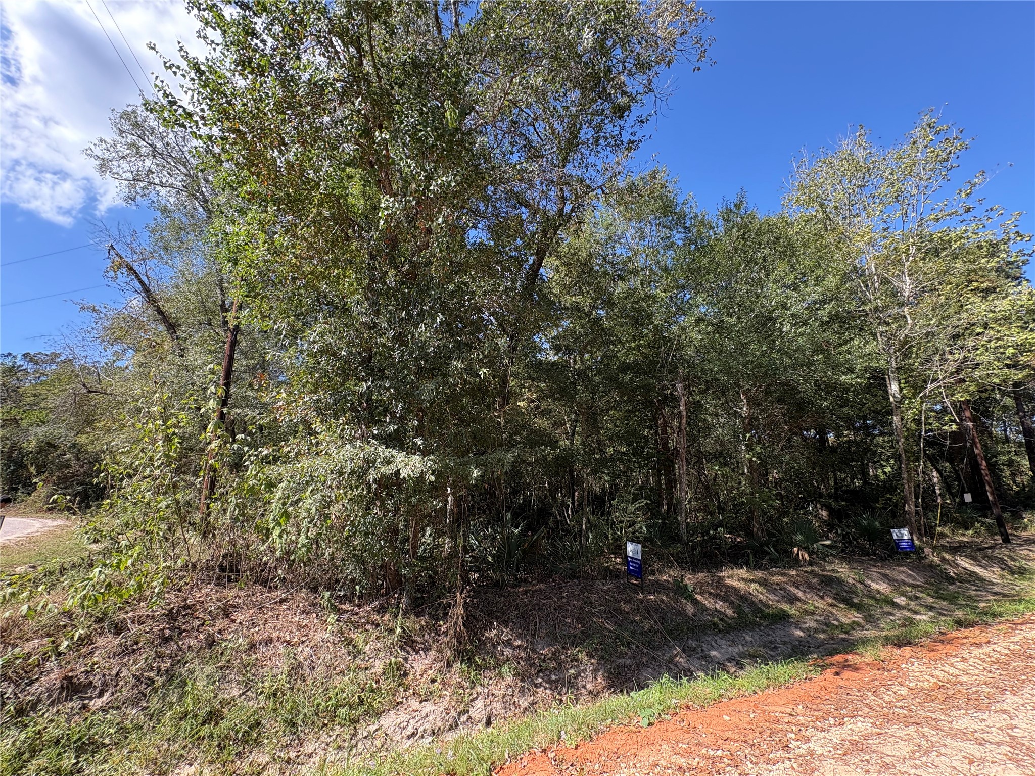 Lot 244 Mehringer Road Shepherd, TX 77371 - Photo 2 of 10 a view of a yard with plants and trees